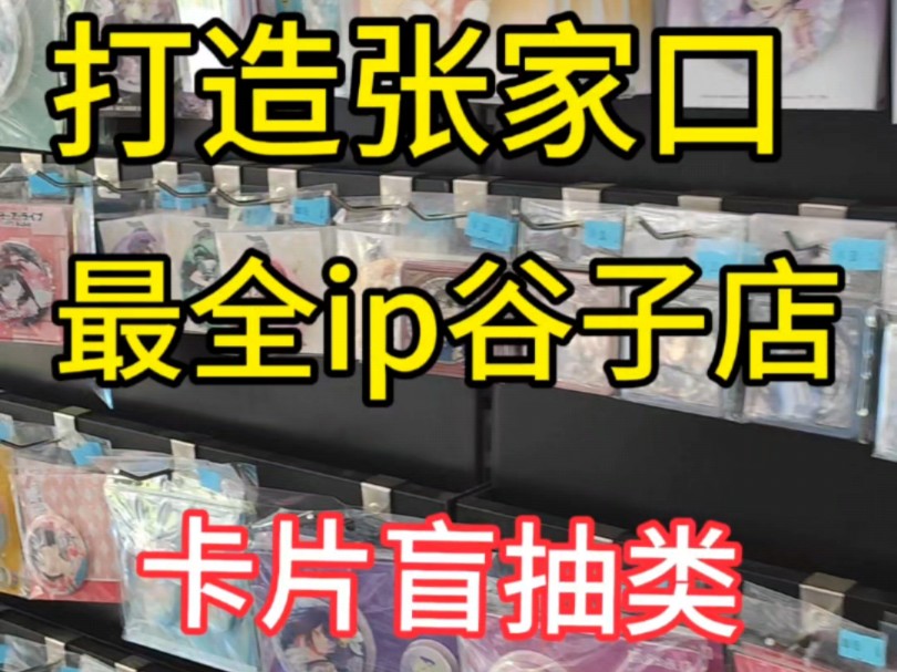 打造张家口最全ip谷子店卡片类盲抽和其他类型盲抽介绍哔哩哔哩bilibili