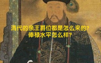 清代的亲王爵位都是怎么来的?俸禄水平怎么样?哔哩哔哩bilibili