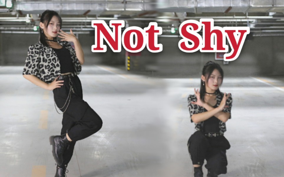 【蘑菇】二周年投稿纪念劲舞团翻跳《Not Shy》— 别害臊!哔哩哔哩bilibili