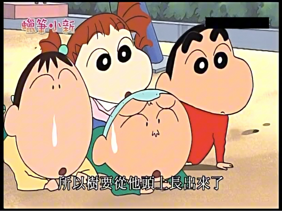 蜡笔小新 长在正南身上了哦03