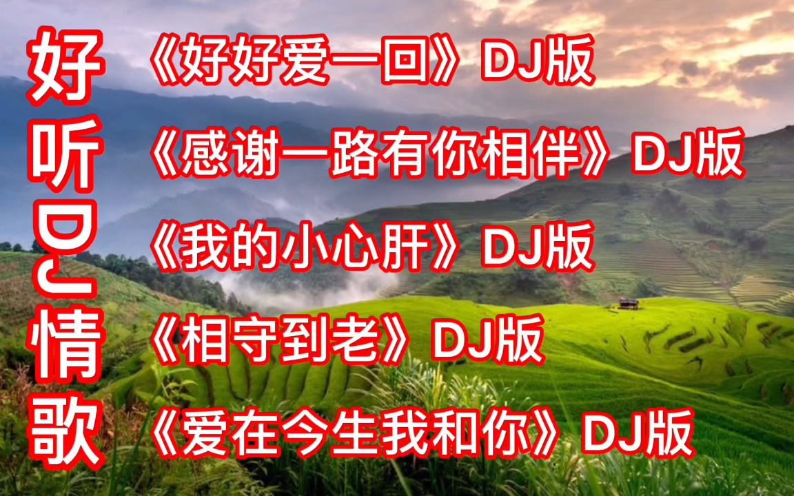 [图]好听DJ《好好爱一回》《感谢一路有你陪伴》《我的小心肝》