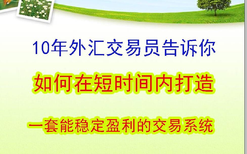 10年外汇交易员告诉你,如何在短时间内打造一套能稳定盈利的交易系统哔哩哔哩bilibili