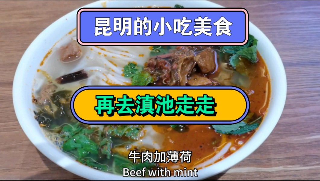 昆明的小吃美食,蒸汽鸡,罐罐牛肉,烤臭豆腐,过桥米线,木瓜水等等,再去