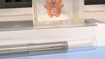 光的反射、全反射实验