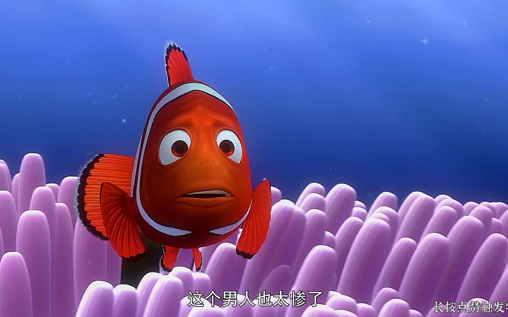 1 小丑鱼父亲为了寻回儿子,冒险跨越大西洋历经磨难《海底总动员》