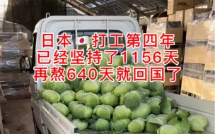 Tải video: 来日本打工第四年了，时薪也从刚来的926熬到现在的1050日元，再坚持640天就能回国了！