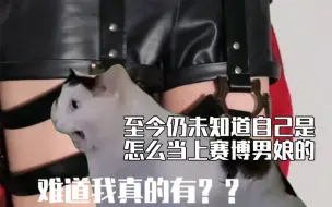 Download Video: 【猫meme】【补档】一句话害得我盯着自己的裆看了半天