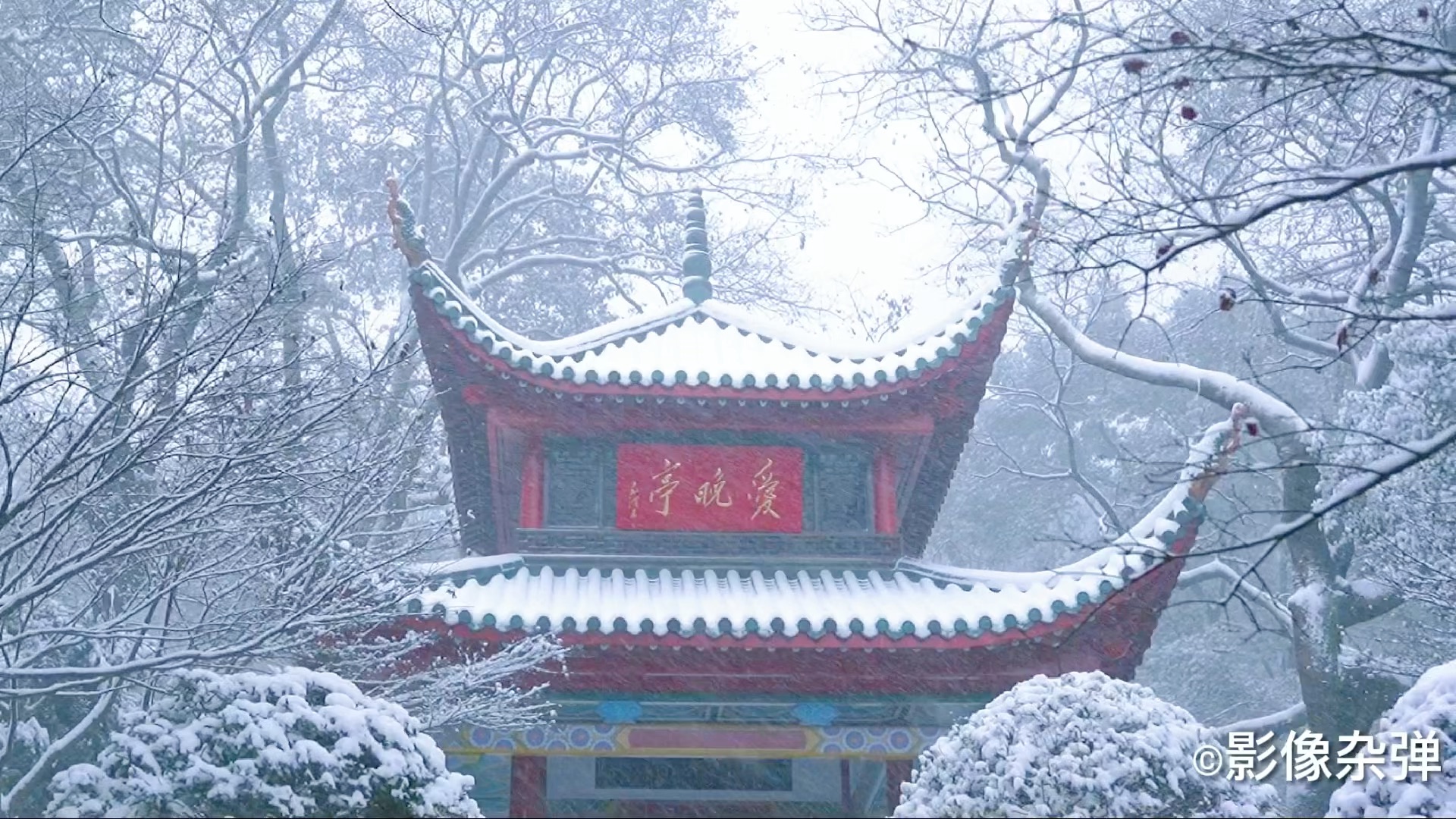 長沙下雪了,一早來到嶽麓山,雪中的愛晚亭,太美了