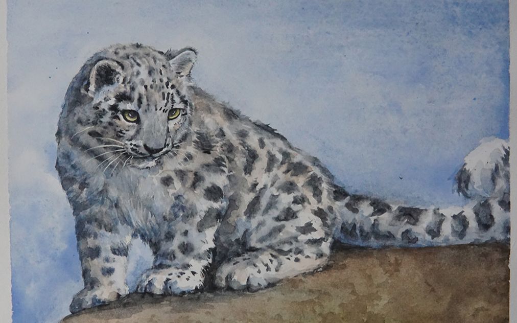 水彩画只小雪豹
