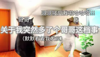 Download Video: 【猫meme】关于我三岁时突然多了个哥哥这档事！(1)