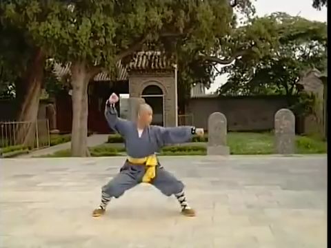 [图]【释德君】少林连环拳