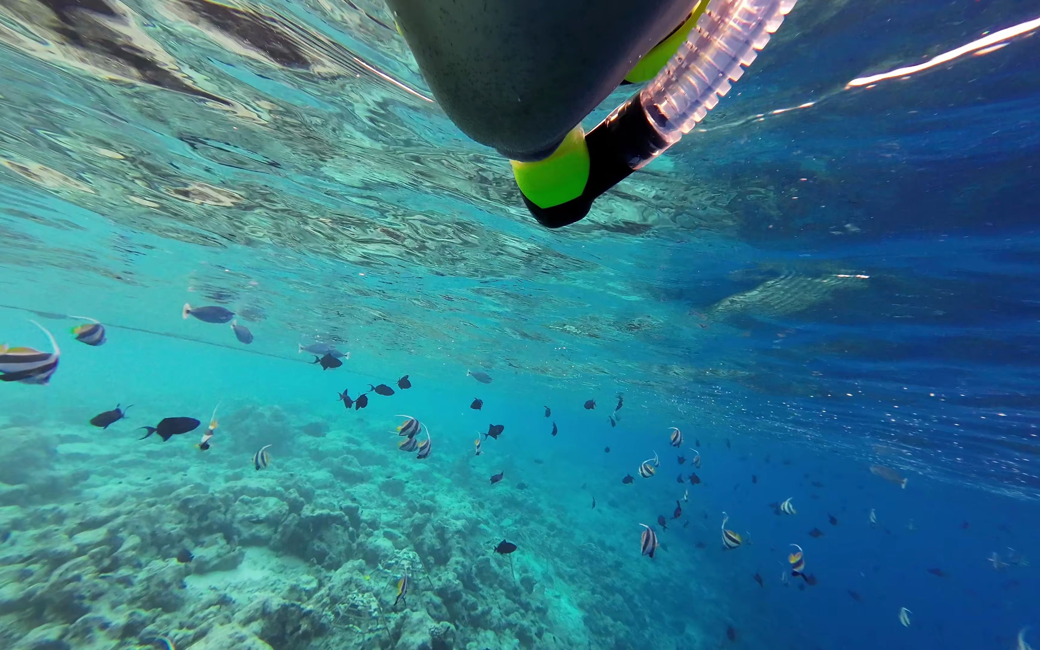 马尔代夫环礁浮潜
