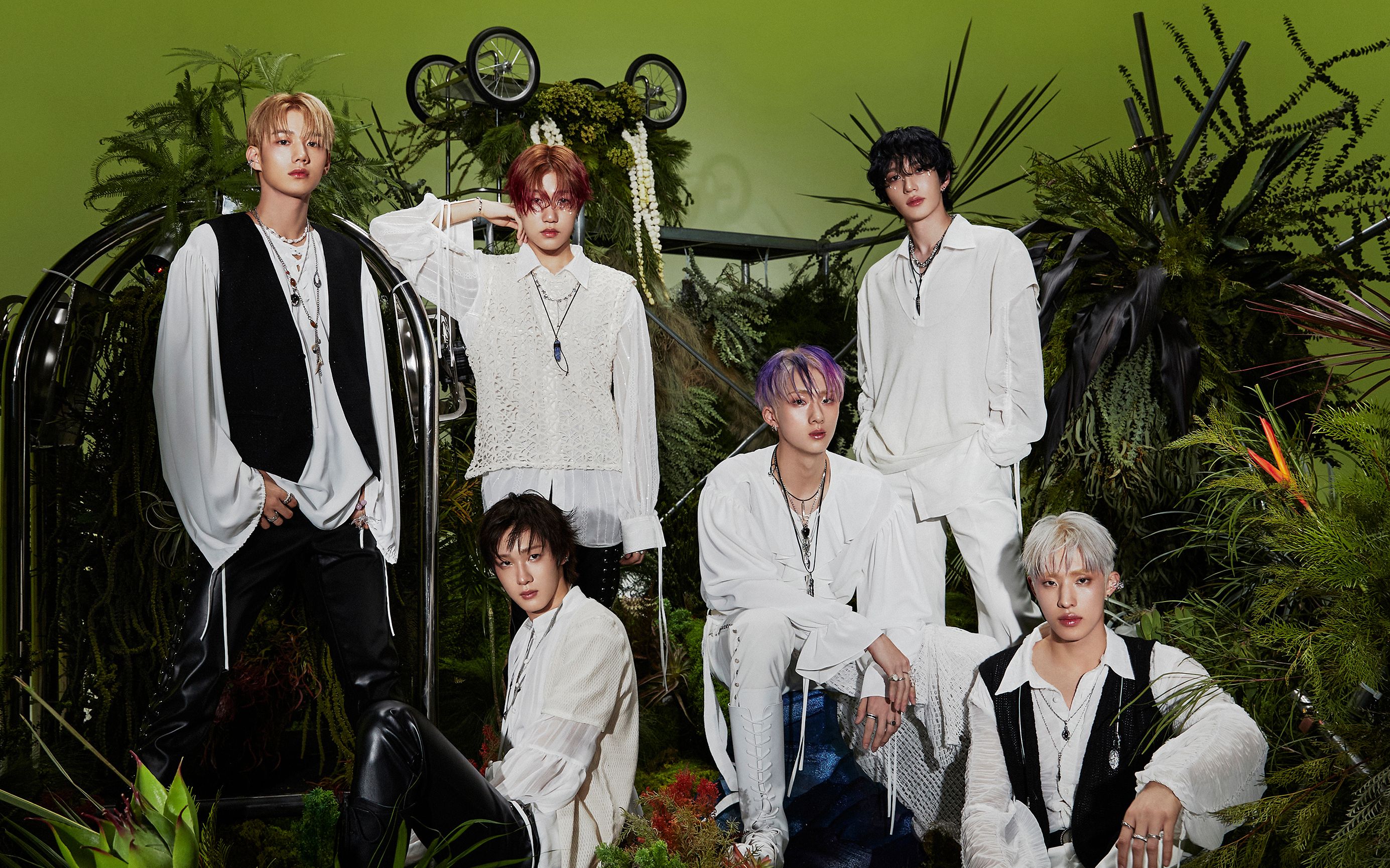 【7917 p1harmony】4k超清 打歌舞台 成员直拍丨