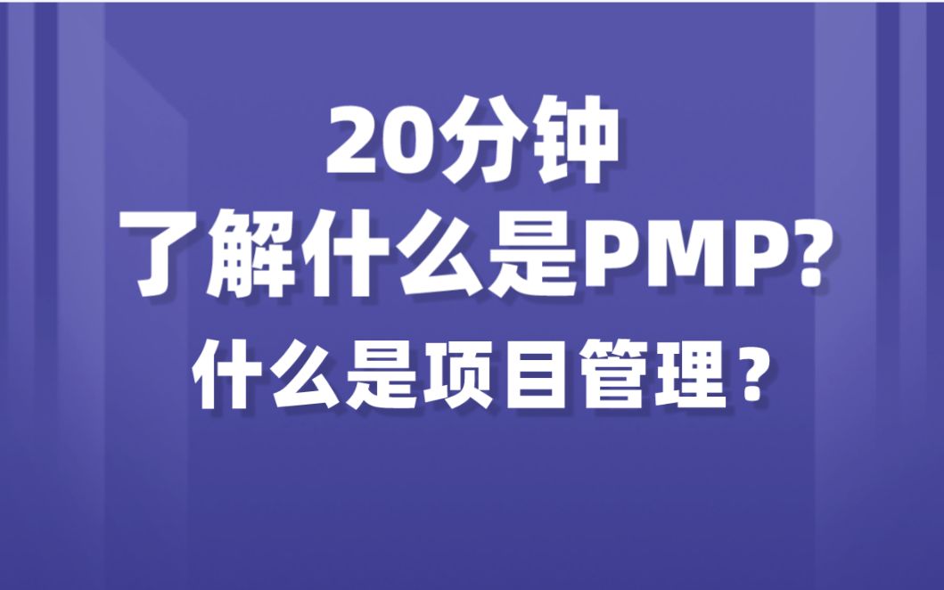 20分钟快速了解pmp是什么?项目管理是什么?哔哩哔哩bilibili