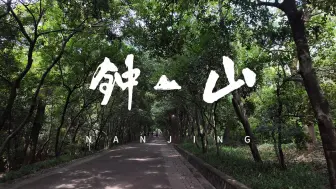 Descargar video: [4K 60FPS] 10月漫步南京梧桐大道｜中山陵｜明孝陵｜音乐台｜灵谷塔