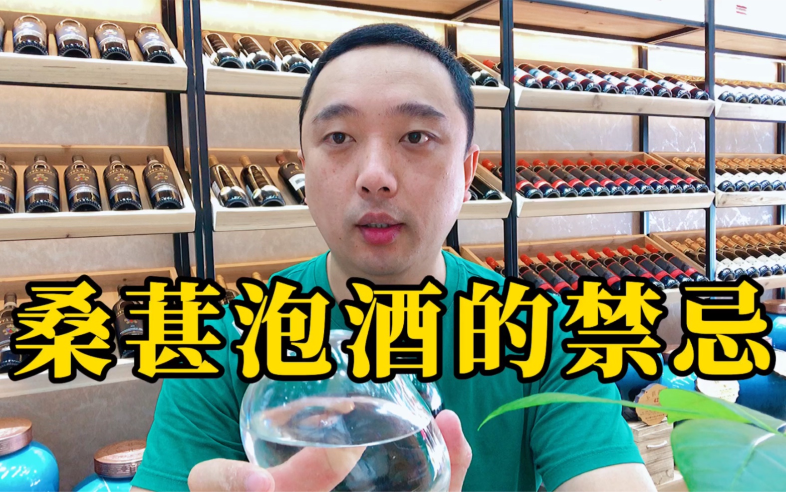 桑葚泡酒的禁忌你知道几个?小心把桑葚泡酒变成毒酒哔哩哔哩bilibili