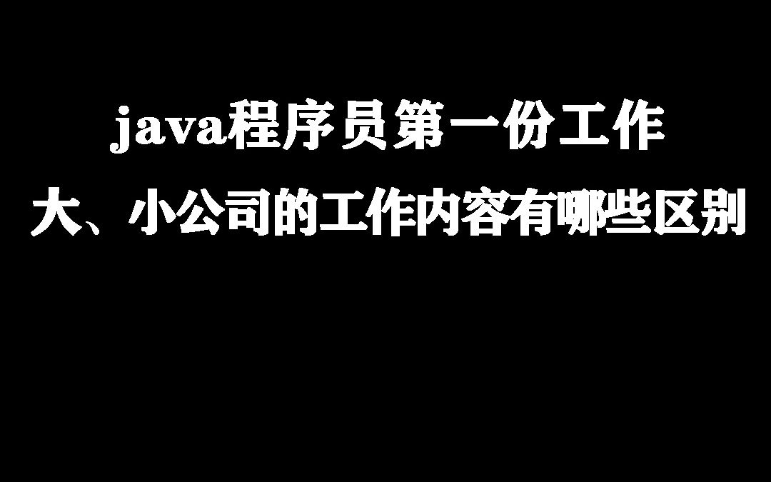 java程序员第一份工作,大、小公司的工作内容有哪些区别哔哩哔哩bilibili