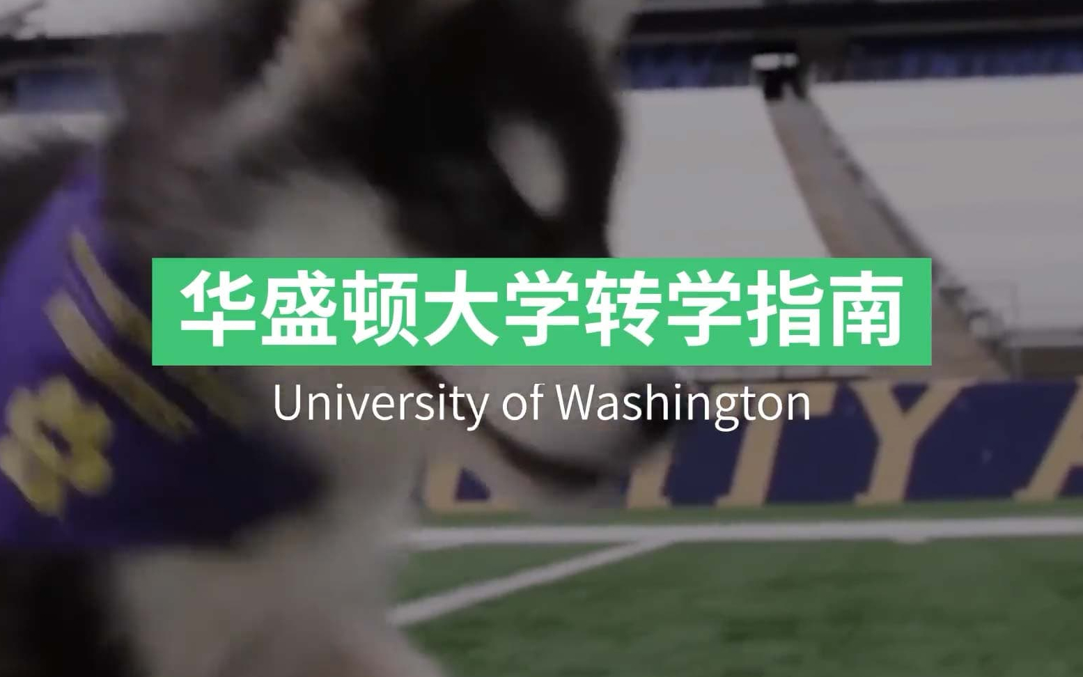 华盛顿大学 University of Washington 转学申请攻略!哔哩哔哩bilibili