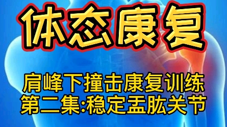 【体态康复】肩峰下撞击康复训练第二集:稳定盂肱关节哔哩哔哩bilibili