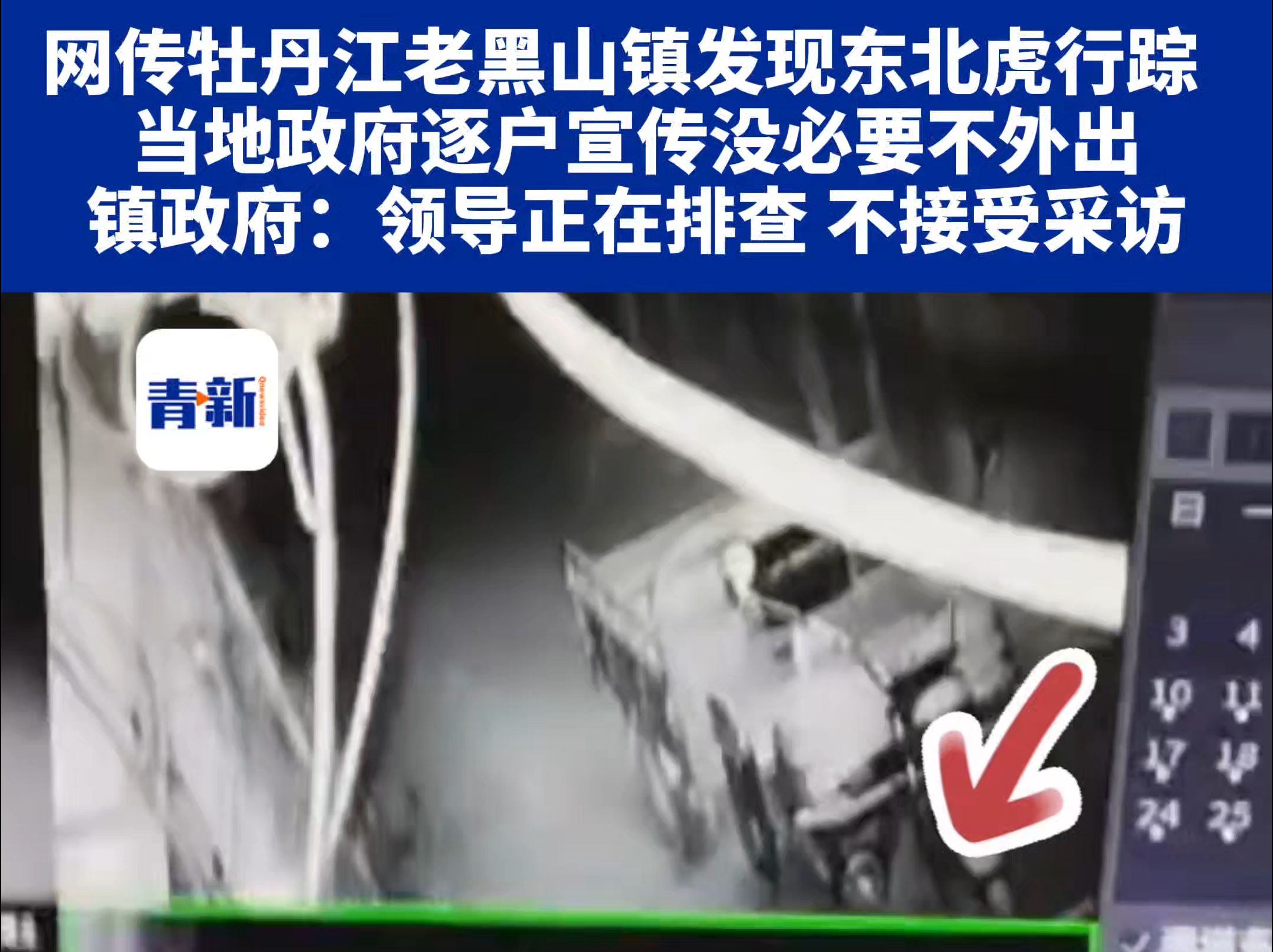 网传黑龙江省牡丹江市东宁县老黑山镇发现东北虎行踪 ,当地政府逐户宣传没必要不外出.当地镇政府:领导正在排查 目前不接受采访.(青岛新闻网/青新...