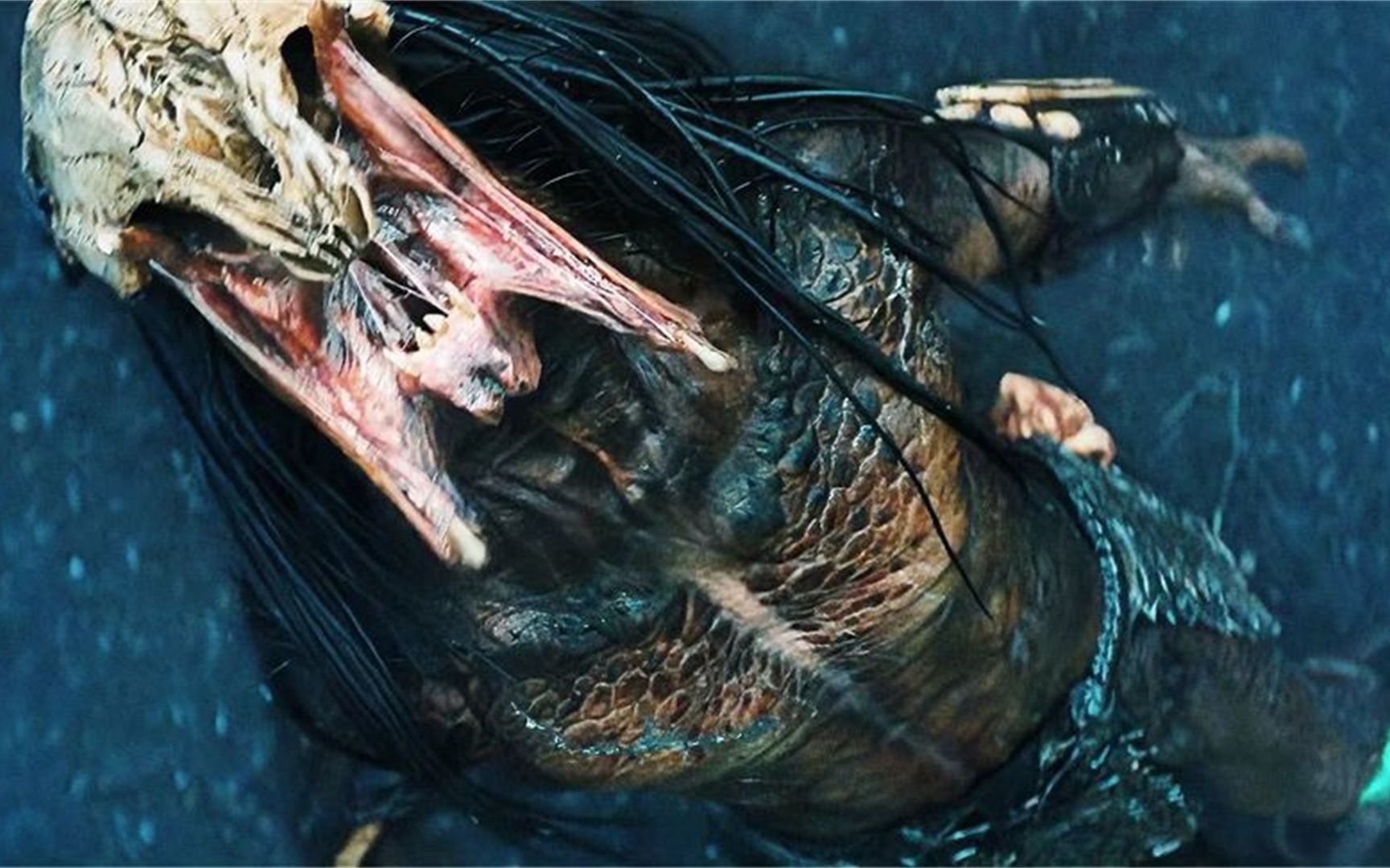 《铁血战士:猎物》,冷兵器少女大战全装铁血战士