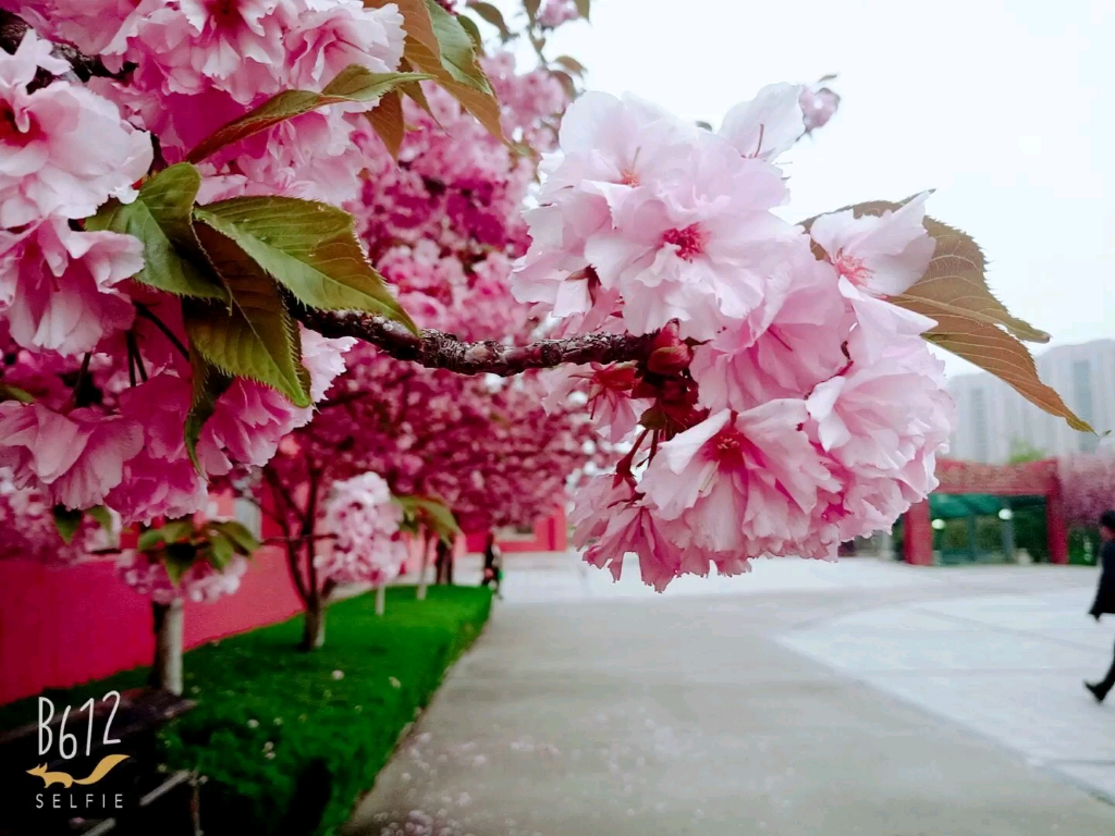 [图]水清出石鱼可数，林深无人鸟相呼。——苏轼《腊日游孤山访惠勤惠思二僧