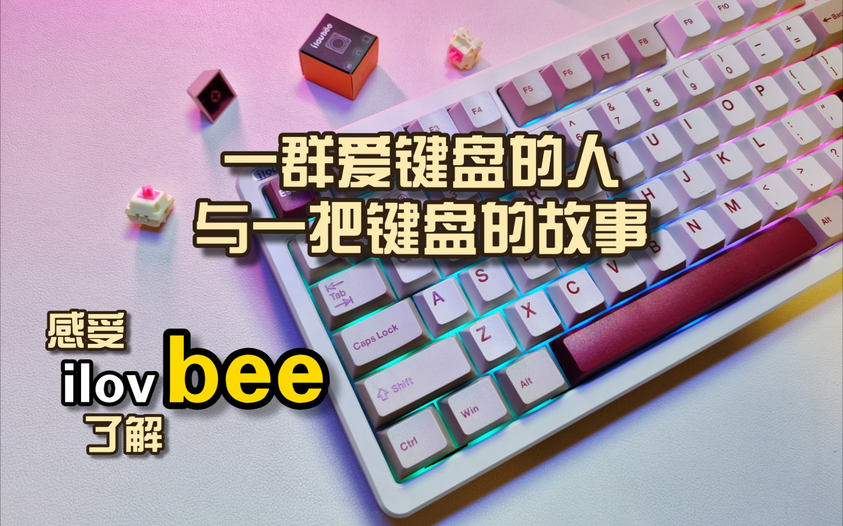 【键盘新品牌ilovbee】大黄蜂B87:一群爱键盘的人故事哔哩哔哩bilibili