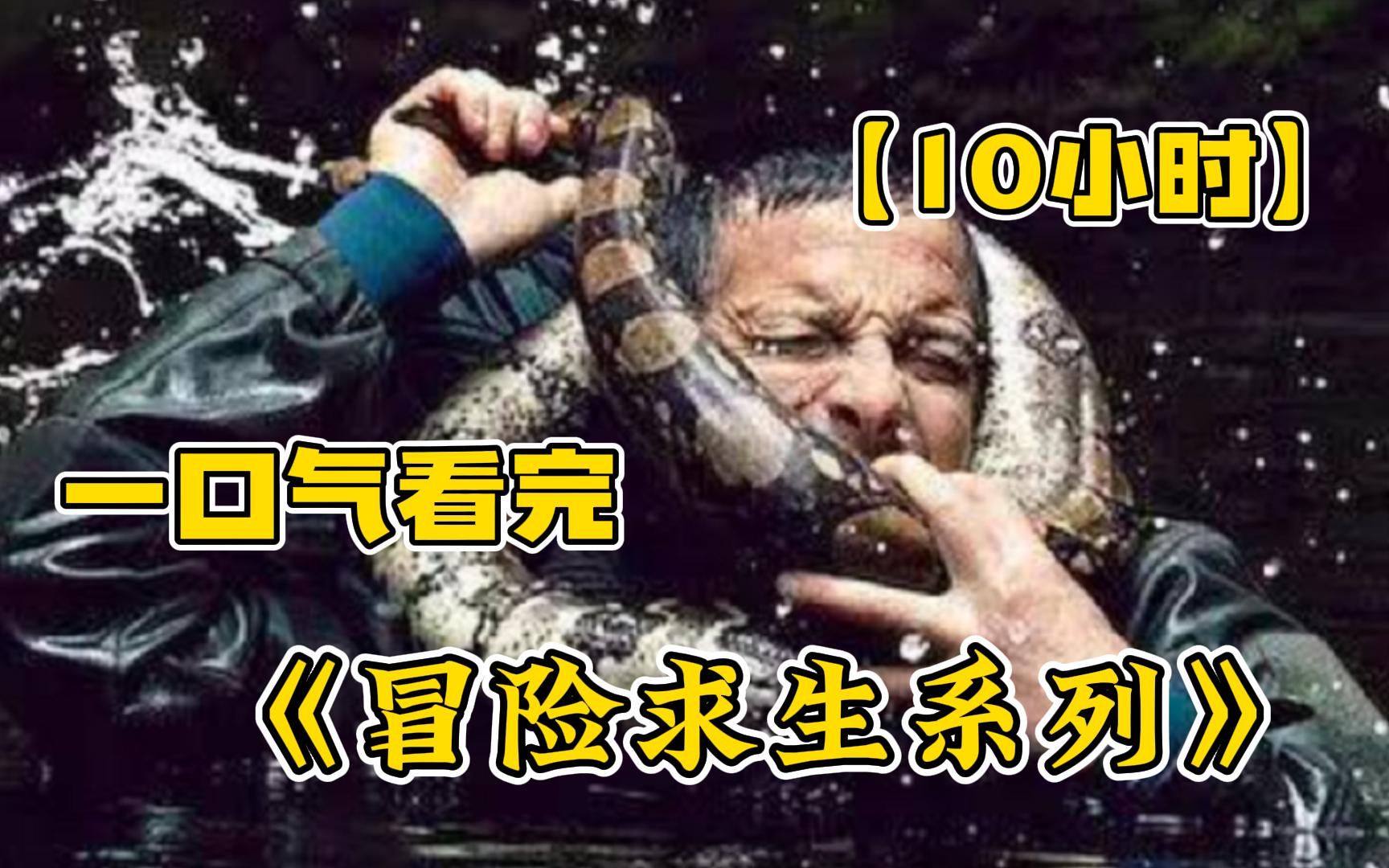 [图]【10小时】一口气看完4K画质【冒险求生电影系列】不愧是顶级冒险猛片！这才是荒野求生，全程死神相伴贼过瘾