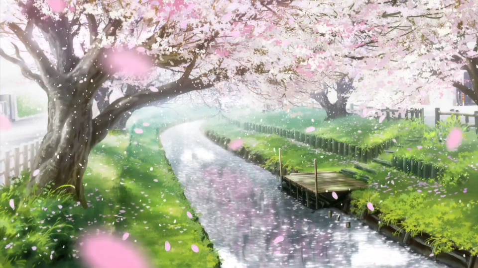 樱花落下的速度是?