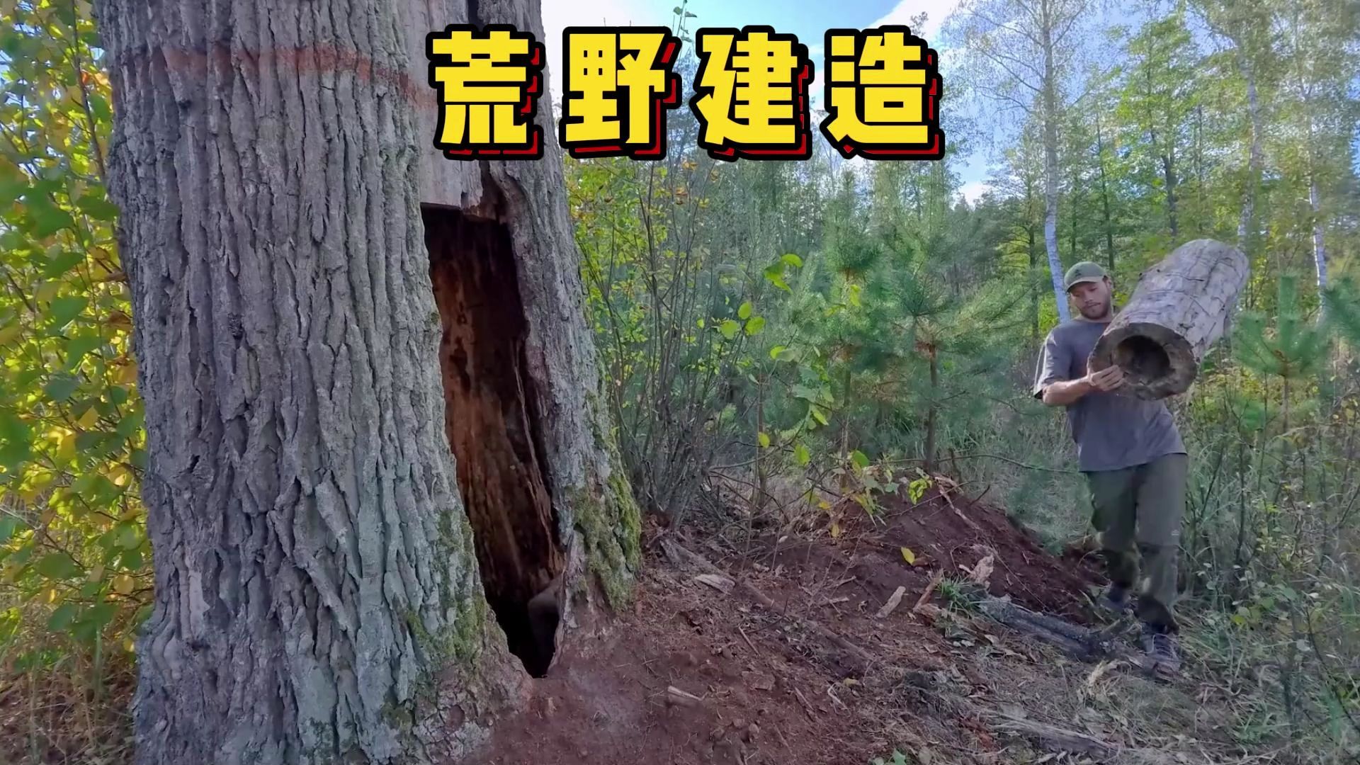 荒野建造:大橡树里的秘密树洞小屋,还有粘土烤箱哦!哔哩哔哩bilibili