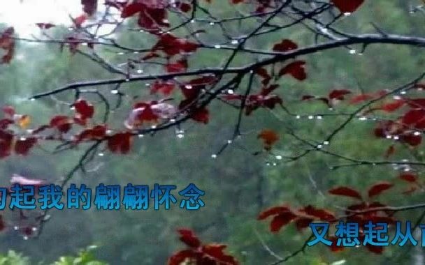 [图]又是一个下雨天 - 邓丽君，如今独我在雨中留连，又把愁来添