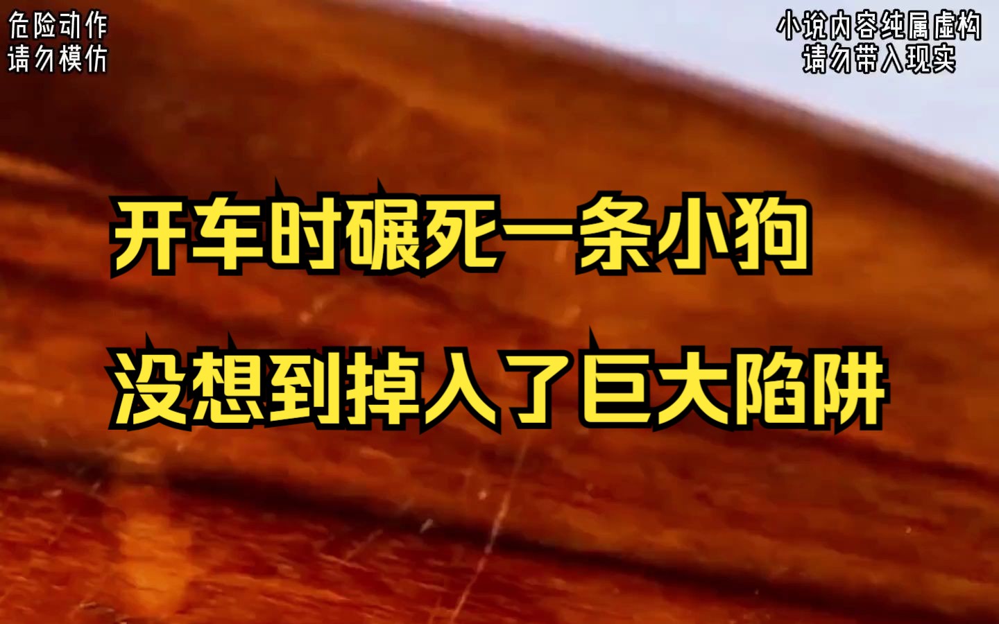 【小说】开车时碾死一条小狗,没想到掉入了巨大陷阱哔哩哔哩bilibili