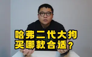 Descargar video: 哈弗二代大狗，选哪款合适？