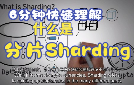 【科普篇】什么是区块链中的分片sharding扩展解决方案动画演示中英双字幕哔哩哔哩bilibili