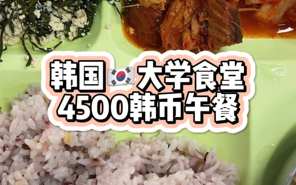 韩国大学食堂4500韩币午餐哔哩哔哩bilibili