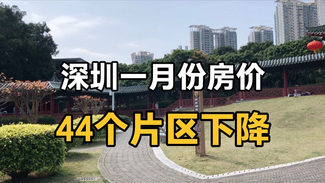 2024暴击炒房客,一月份深圳房价44个片区下跌,销量继续走低哔哩哔哩bilibili