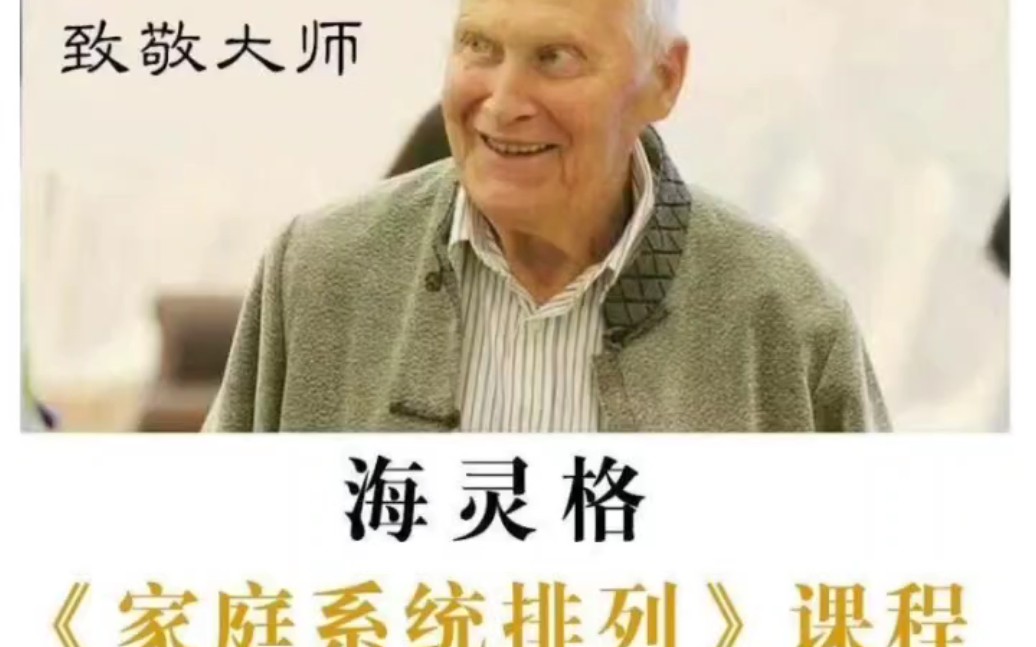 海灵格系统排列家排经典家庭 全视频音频教程课程幸福心理学全集