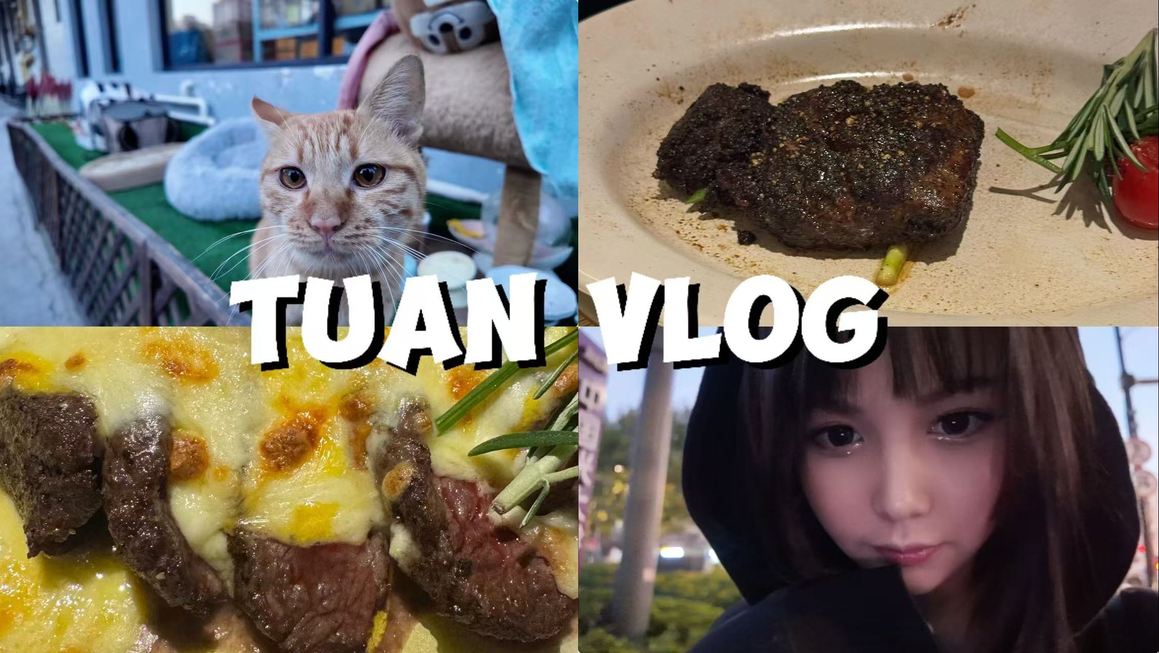 【TuanVlog】带着pocket3去过生日!哔哩哔哩bilibili