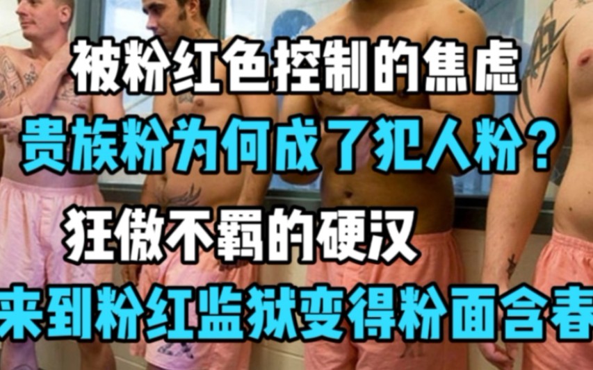 粉红色监狱,狂暴硬汉到了这里秒怂,狱警说这样可以降低犯罪率!哔哩哔哩bilibili