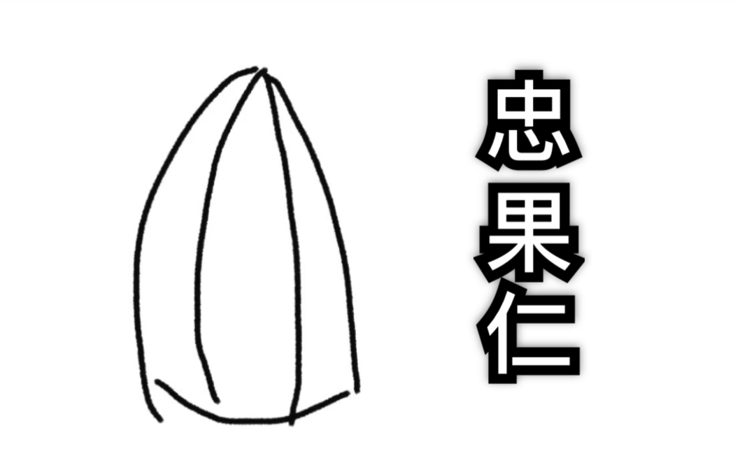 活动作品从前有一种仁叫忠果仁