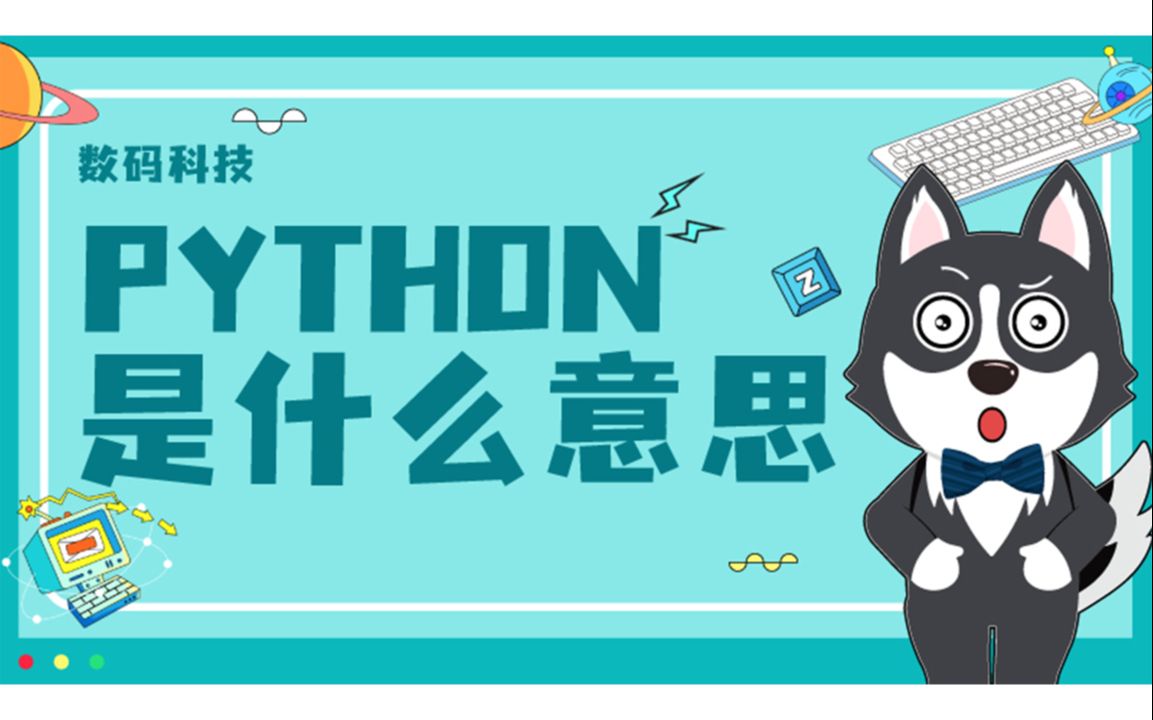 python是什么意思哔哩哔哩bilibili