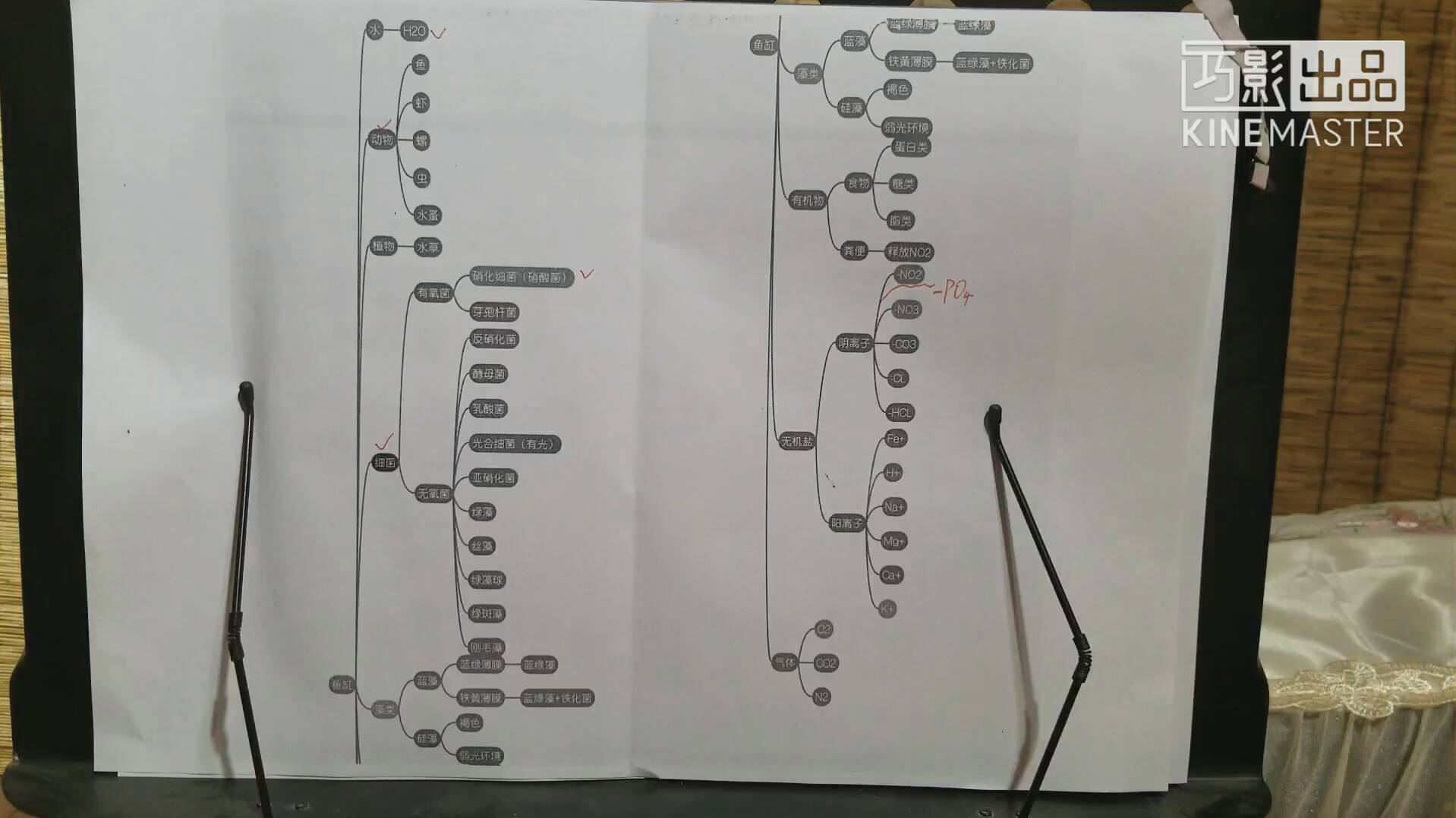 鱼缸的系统构成概略哔哩哔哩bilibili