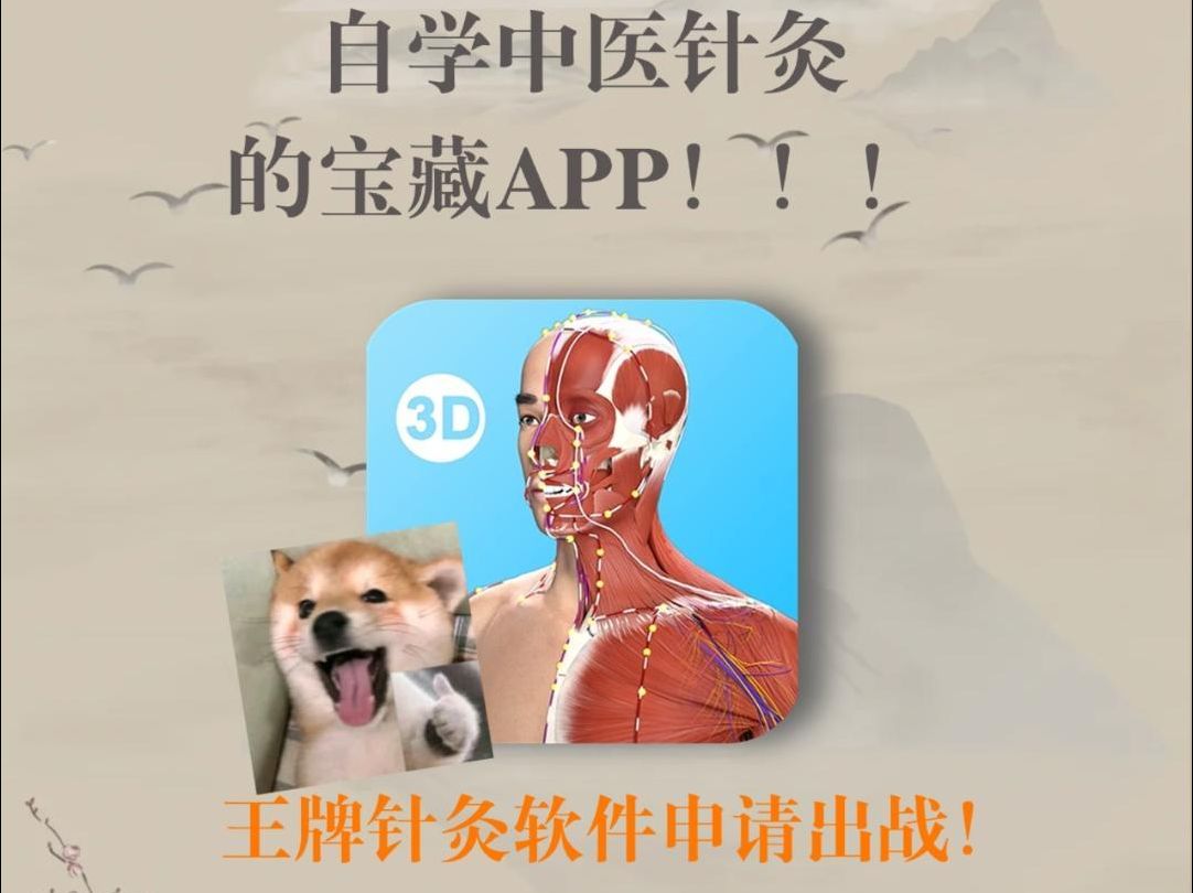 为了 学习针灸,我找到了宝藏APP哔哩哔哩bilibili