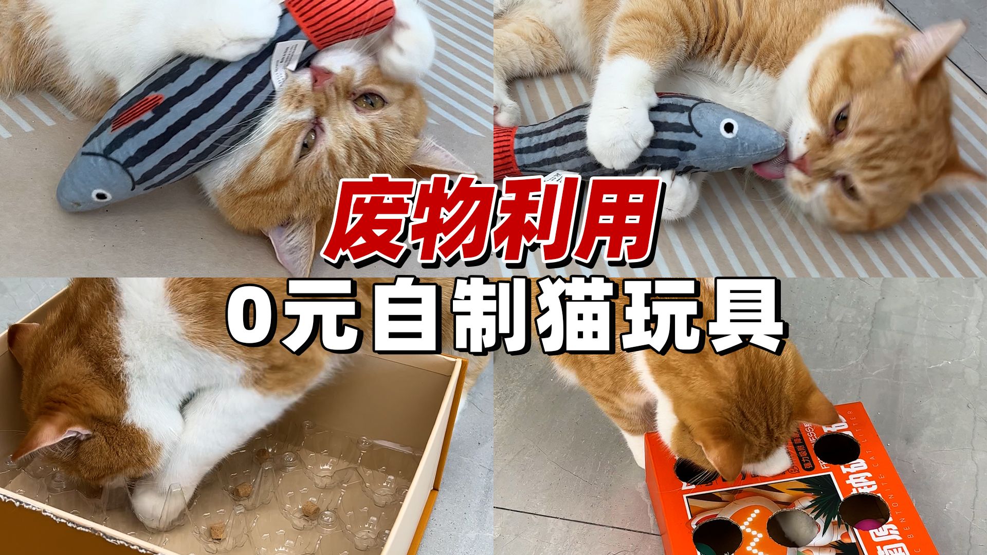 变废为宝!0成本自制猫咪玩具,有手就会~哔哩哔哩bilibili