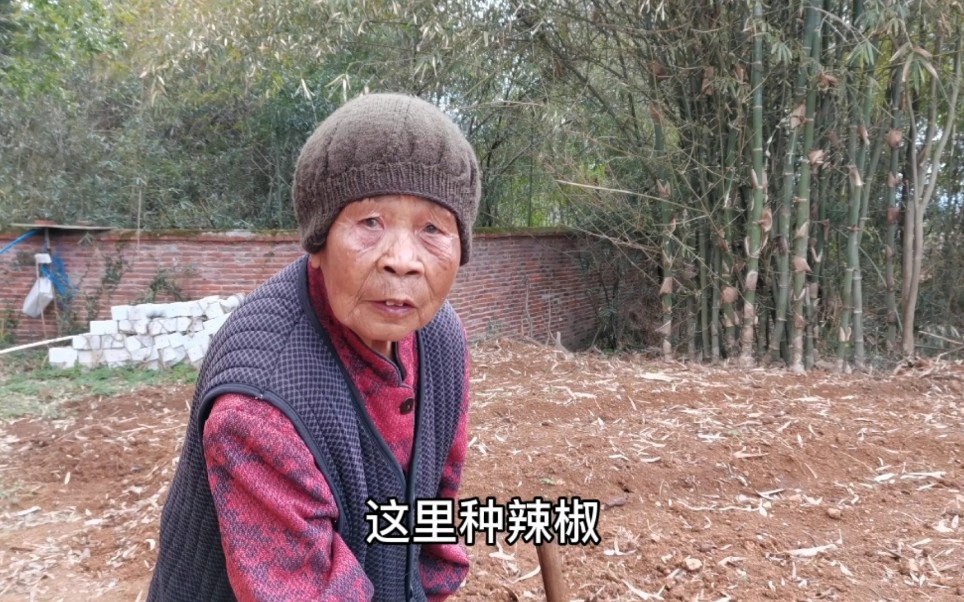 [图]年轻人种茄子辣椒，95岁的奶奶爱在旁边唠叨，看孙媳妇怎么对她