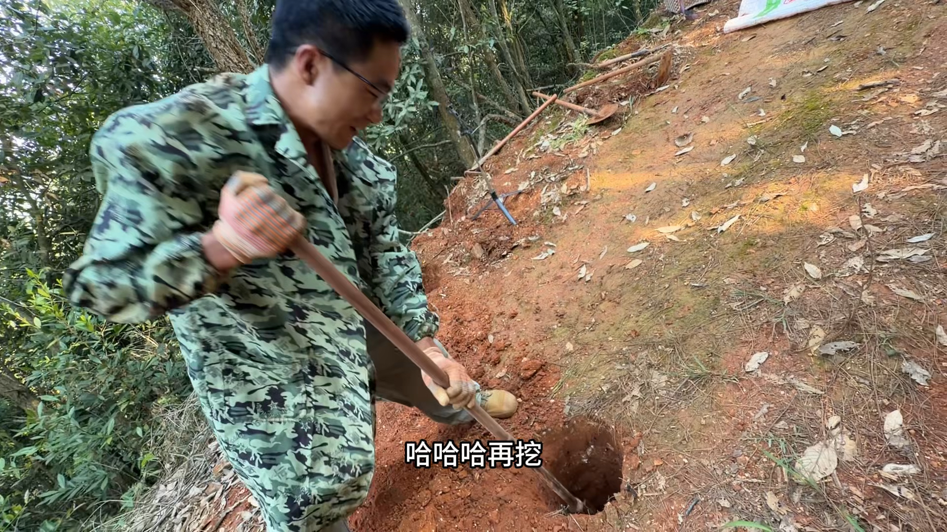 狡猾的乌灵参，为了找到它姐弟两可谓煞费苦心