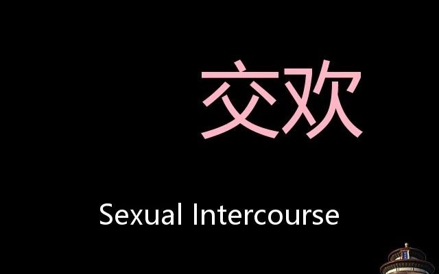 交欢 Chinese Pronunciation sexual intercourse哔哩哔哩bilibili