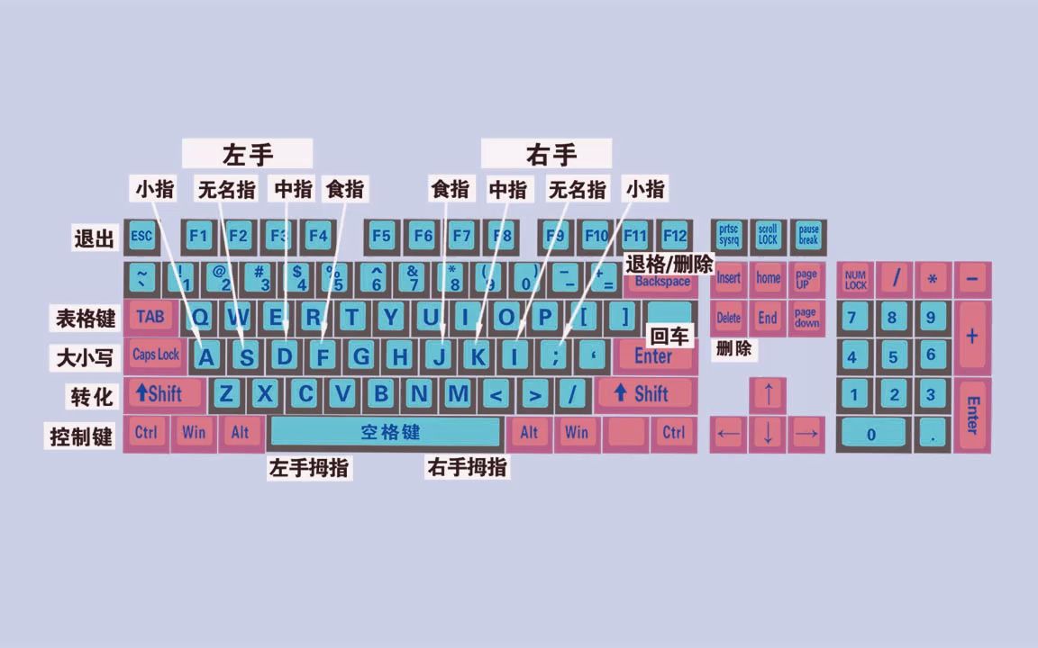 零基础快速学拼音学五笔打字教程,键盘打字快速入门