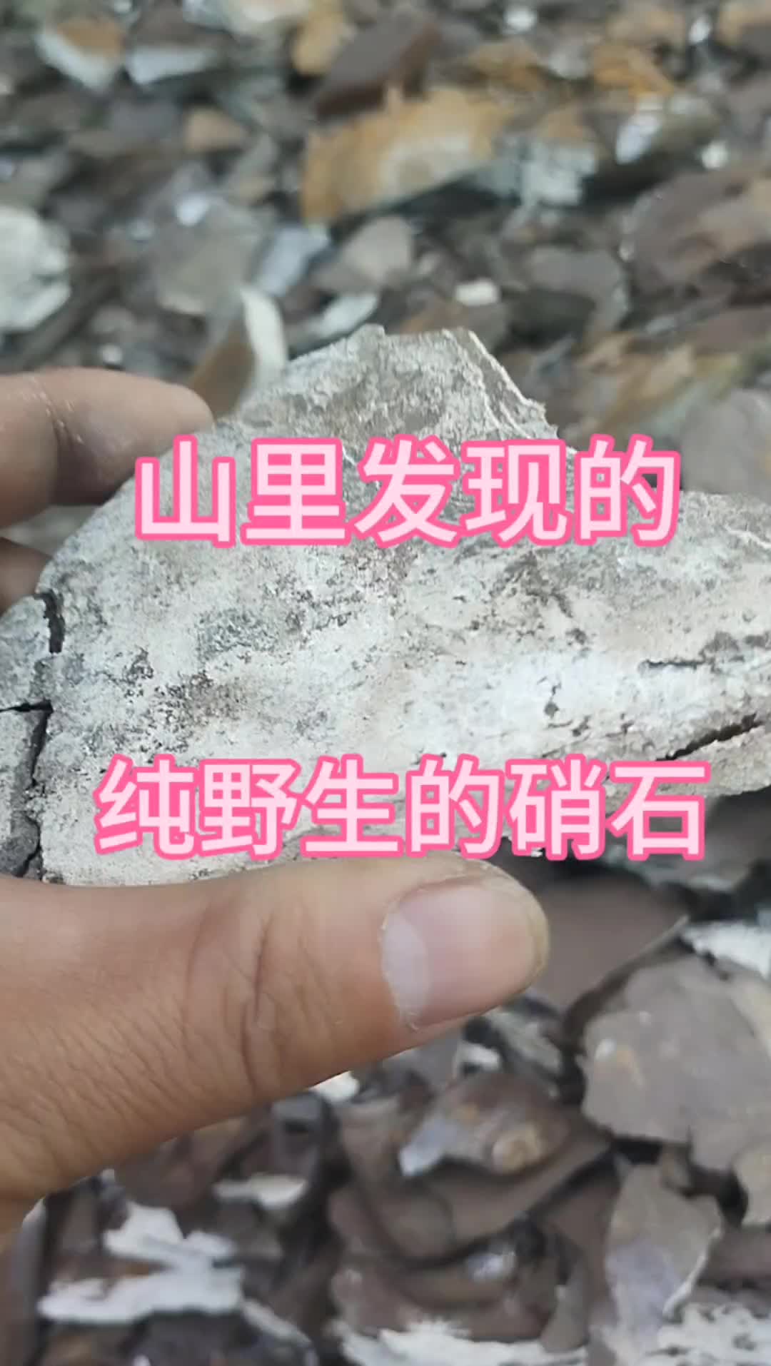感受一下神奇大自然,科普一种地质现象硝石的产生 #原创 #随手拍