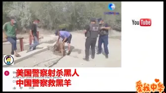 Download Video: 美国网友看中国警察后羡慕嫉妒蚌埠住了，看中国警察的泪目瞬间